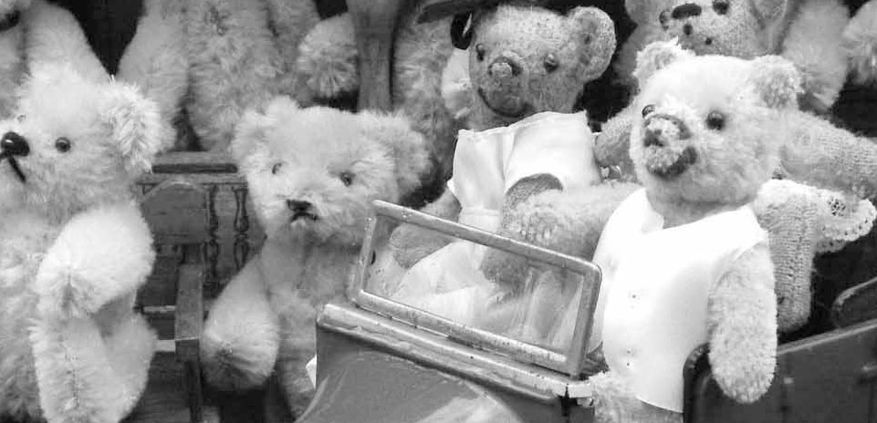 Teddy Bear Deluxe now has a new website design thanks to North Wales premier web studio