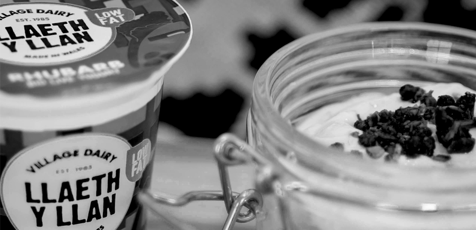 The new website for Llaeth Y Llan in North Wales